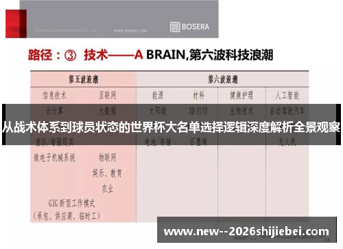 从战术体系到球员状态的世界杯大名单选择逻辑深度解析全景观察 从战术体系到球员状态的世界杯大名单选择逻辑深度解析全景观察
